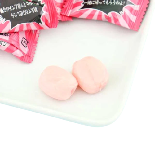RIBON Doumyouji Umeko Plum Candy 60g
