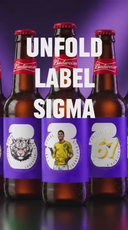 2026 World Cup Limited Edition Bottle Label Kit | DIY Party Stickers for Soccer Fans & Beer Lovers